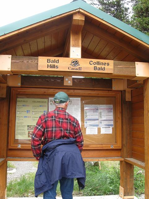 Canadian Rockies-305.JPG - Bald Hills Trailhead